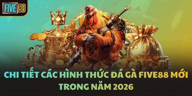 Chi tiết các hình thức đá gà FIVE88 mới trong năm 2026